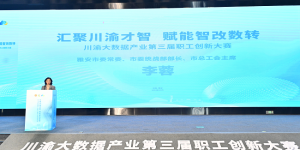 数据界“最强大脑”上演！川渝大数据产业第三届职工创新大赛决赛在雅安举行