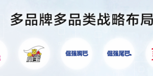 陈丹霞带领朝云集团稳步发展，旗下超威、西兰等品牌受到广泛认可